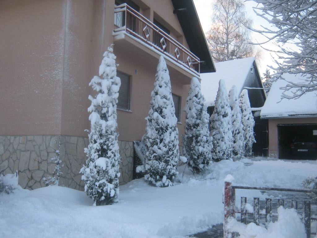 House Pribic Otel Vrelo Koreničko Dış mekan fotoğraf