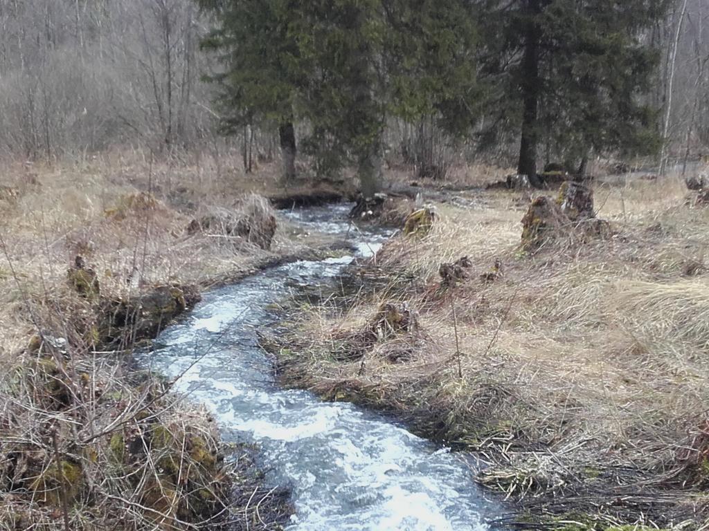 House Pribic Otel Vrelo Koreničko Dış mekan fotoğraf